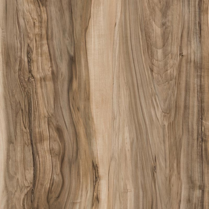 Plateau de table- Bois de sheesham