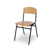 I MAXI MAX Conference Chair