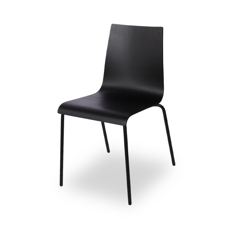 I MAXI MAX Conference Chair
